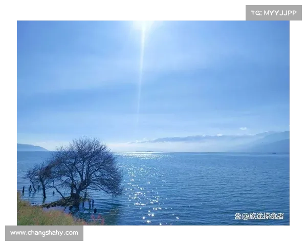 冬季湖畔的诗意美景与宁静魅力探索 冬季湖畔的诗意美景与宁静魅力探索
