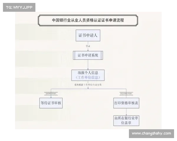 北美洲杯赛完整参赛流程与资格要求详解