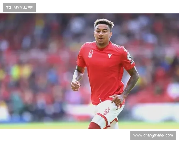 当年林加德被调侃如艺术如今球迷自嘲成了生活哲学