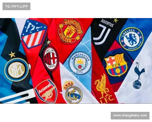 五大联赛各具特色的差异与魅力分析